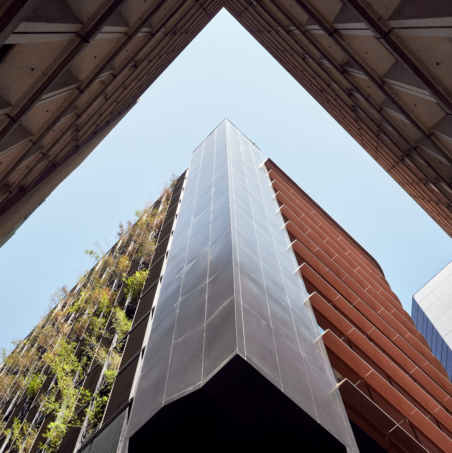 Two Wins at the 2021 NSW ACSE Awards!