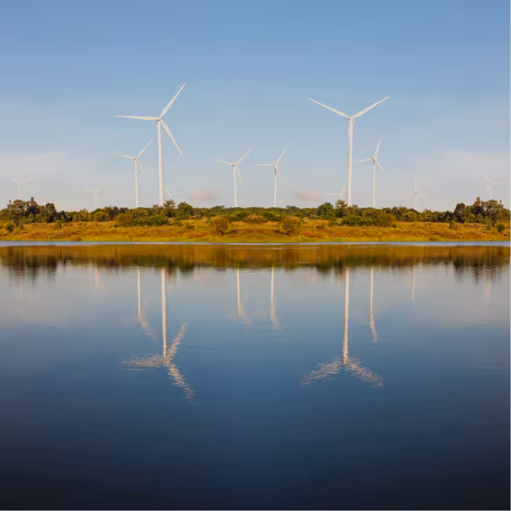 Energy & Renewables